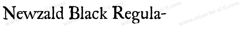Newzald Black Regula字体转换